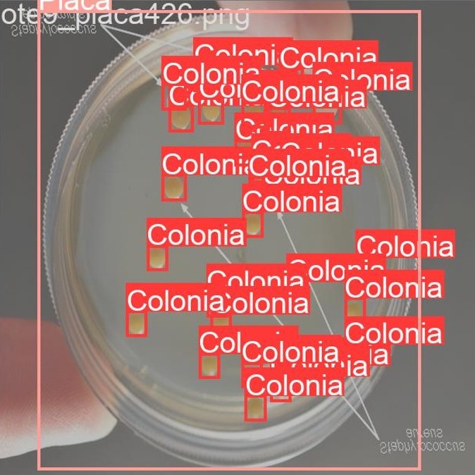 Petri dish with colonies marked by bounding boxes in a Fovea AI analysis demonstration